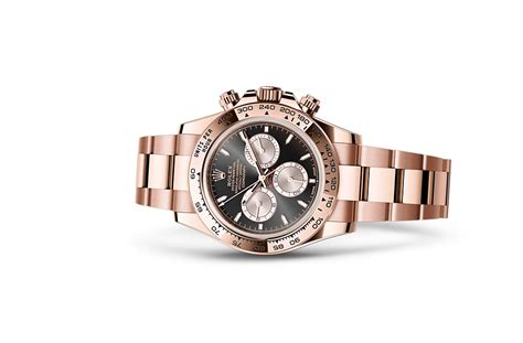 rolex daytona everose gold hong kong hkd